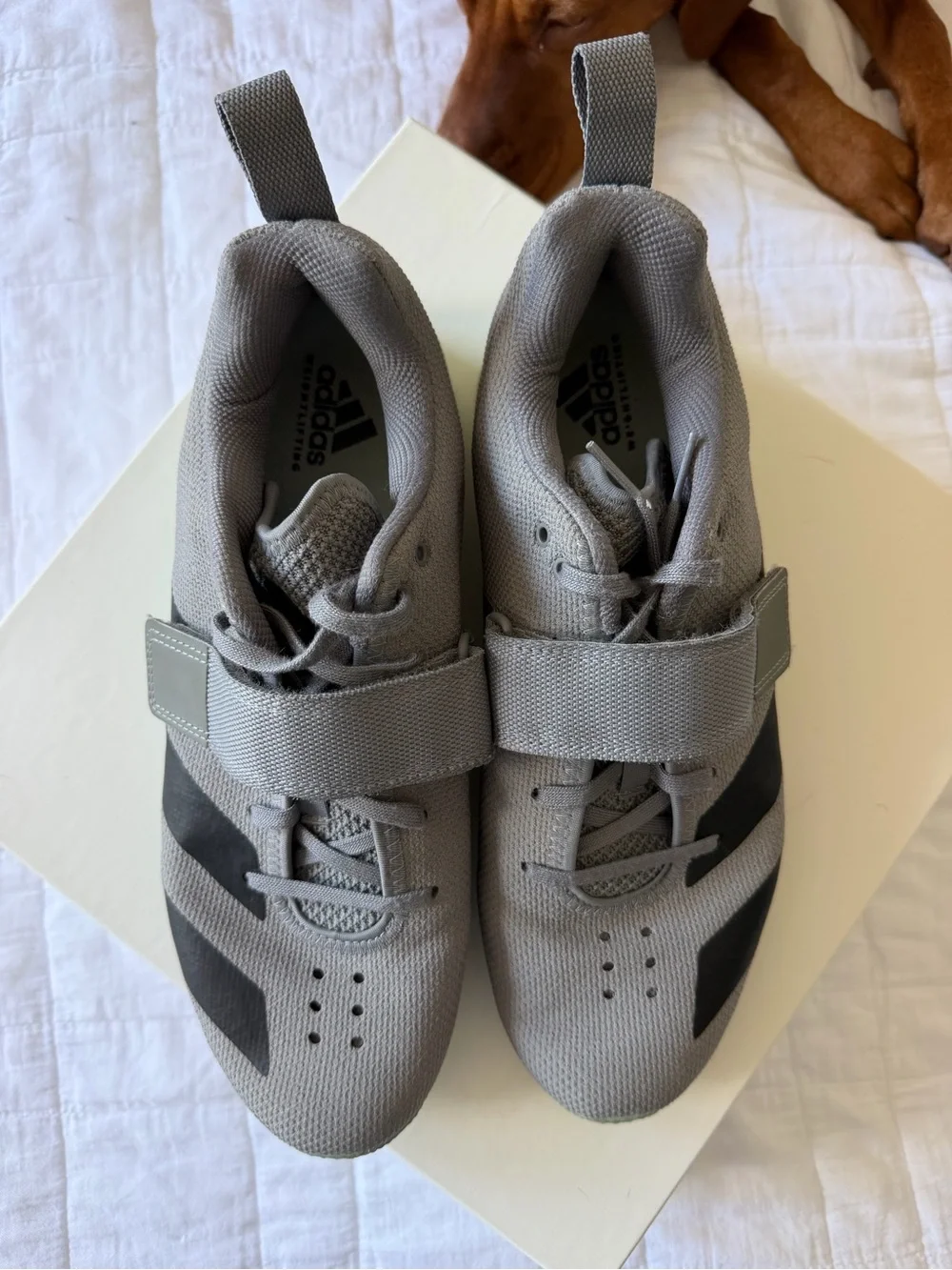 adidas weightlifting shoes